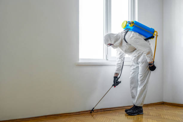 Best Commercial Pest Control  in Oak Ridge North, TX